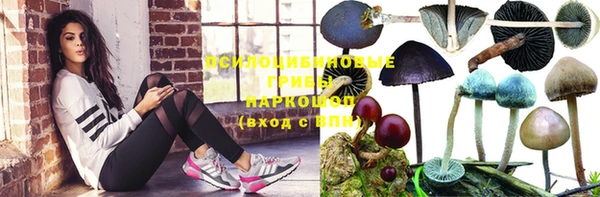 прущая мука Алзамай