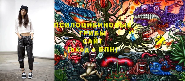 дурь Алексеевка