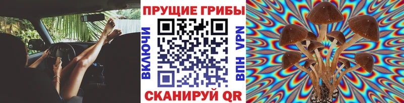 продажа наркотиков  Межгорье  Псилоцибиновые грибы MAGIC MUSHROOMS 